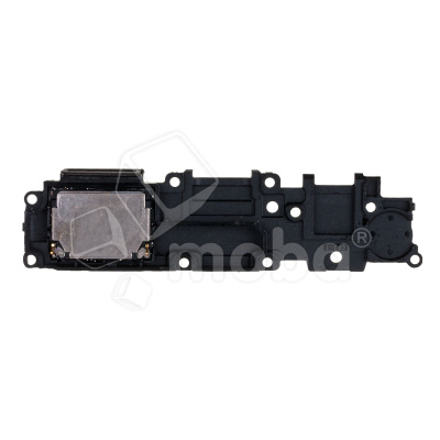 BUZ-REAL-C25-CP_1